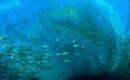 Click (en espa�ol)