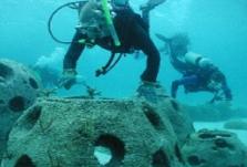 Reef ball